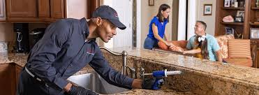 Professional Pest Control in Corsicana, TX